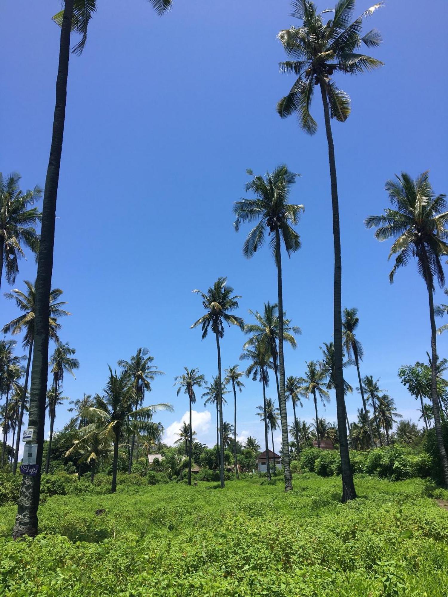 Puring Bungalows Gili Air Ngoại thất bức ảnh